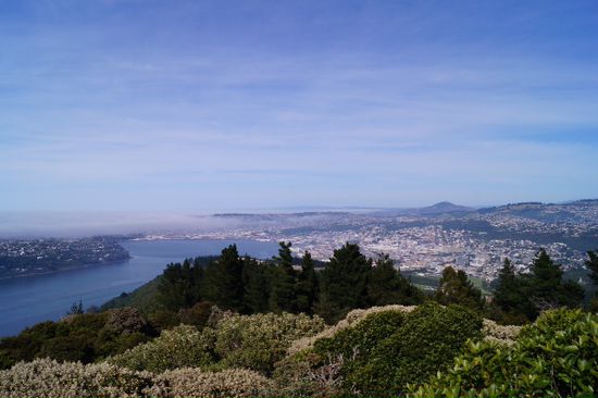 Dunedin