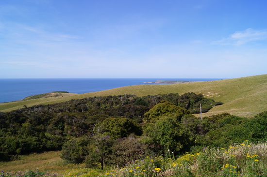 Catlins an der Ostküste