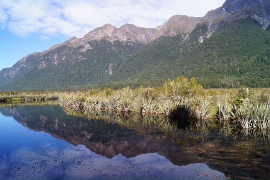 Mirror Lakes ... Waren eher kleine Tümpel... Aber haben schön gespiegelt ... Achtung Chinesen im
Anmarschm