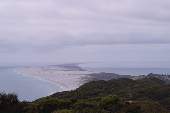 Farewell Spitt eine Sandhalbinsel die irgendwie die Form eines Kiwis hat.