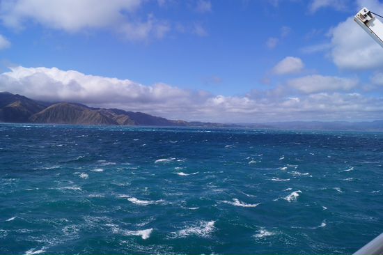 Und da sieht man nach 3 Stunden auch schon wieder die Küste der Nordinsel Richtung Wellington