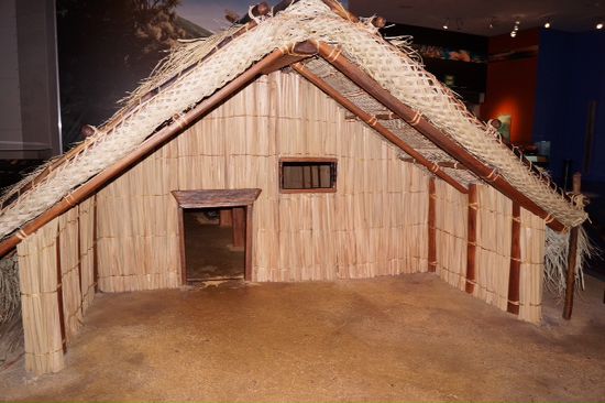 Maori Hütte