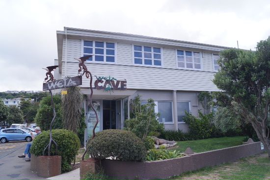 Weta Cave