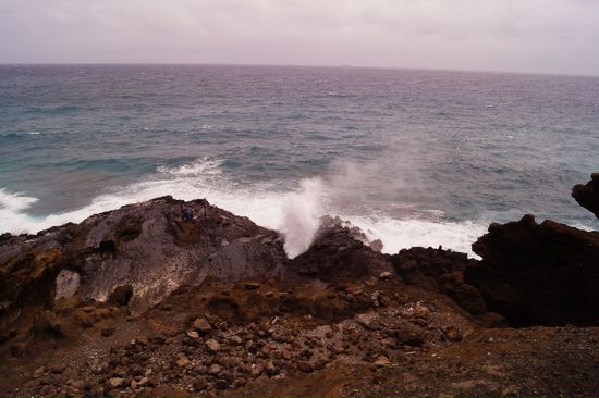 Blowhole