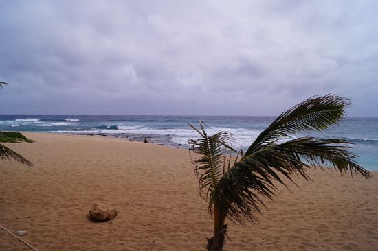 Strand an Oahu's Northshore