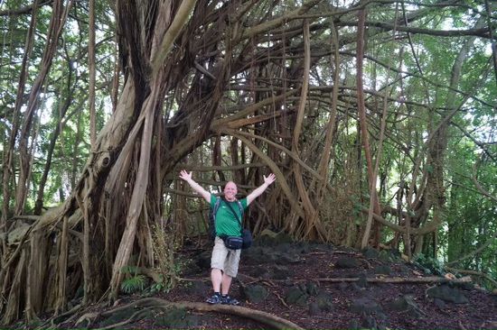 Wald bei den Rainbow Falls.