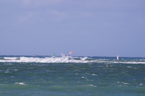 Surfers