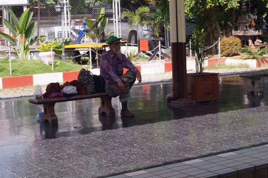 Hippiethaichiangmai