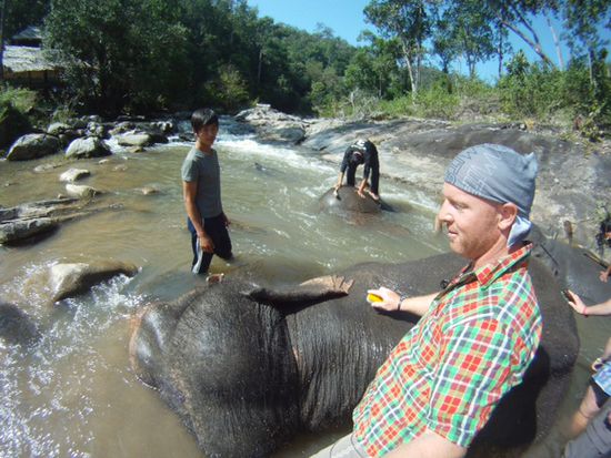 Verwundeter Elefant
Weitere Fotos der Elefantentour tu ich Euch nicht an ... hat ohnehin schon fast jeder mal gemacht.