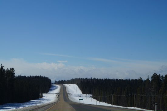 Highway nach Jasper. Die gegenfahrbahn befindet sich auf der anderen Seite des Waldes. ... Is ja genug Platz.