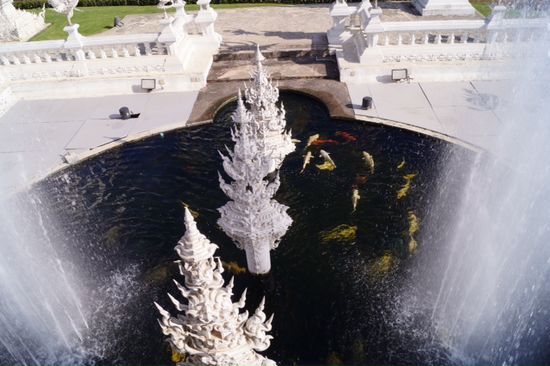 Kois mit Springbrunnen im Tempeltümpel ...