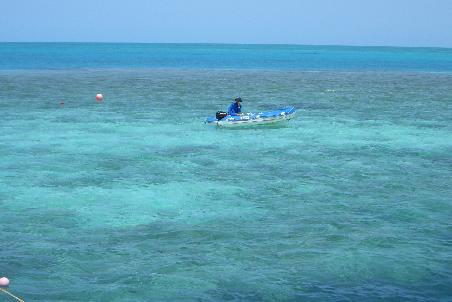 Das Hardy Reef