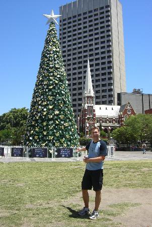 Weihnachtsbaum in Brisbane City