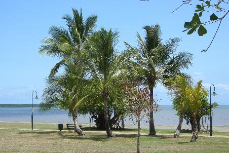 Esplanade in Cairns