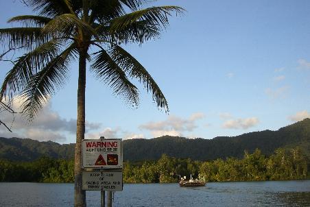 Faehre ueber den Daintree River