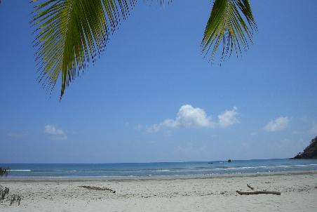 Bilderbuchstrand am Cape Tribulation