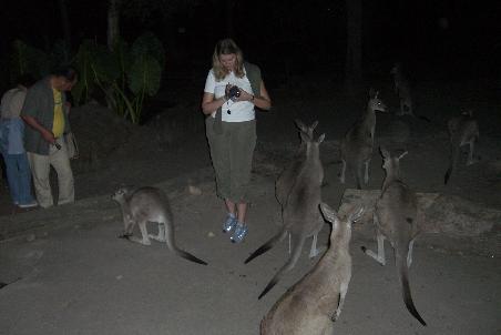 Nici im Night Zoo mit den Kaenguruhs