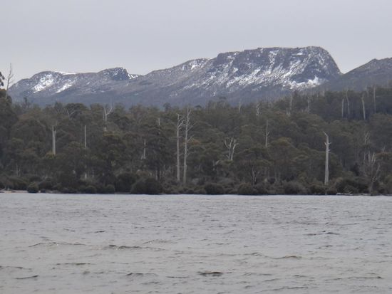 Lake St. Clair und im Hintergrund der Cradle Mountain Nationalpark