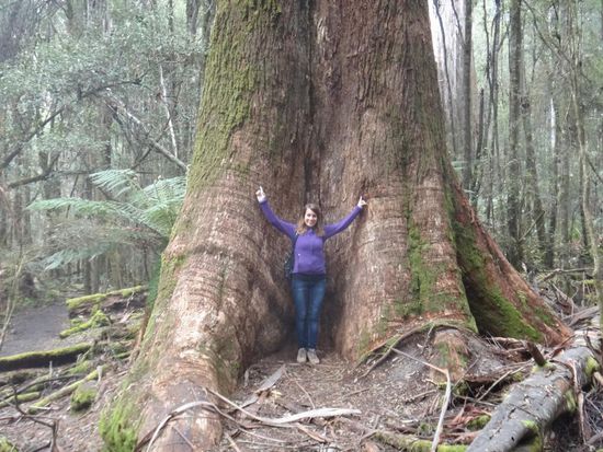 Könnt Ihr Euch vorstellen wir groß der Baum ist?!?