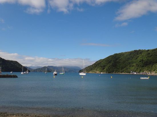 Der Hafen von Picton