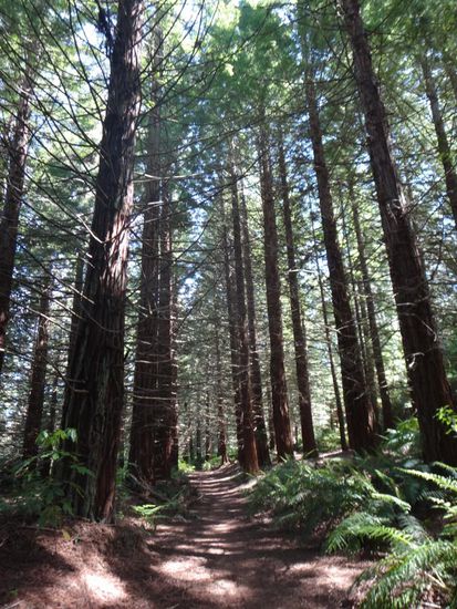 Unsere Mountainbike-Strecke