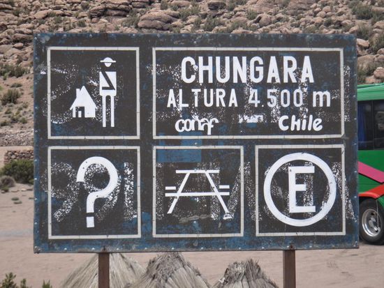 Laguna Chungara - auf 4500 Metern