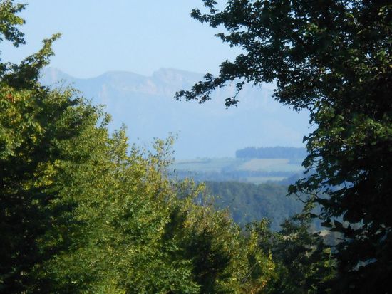 Schwarzwald