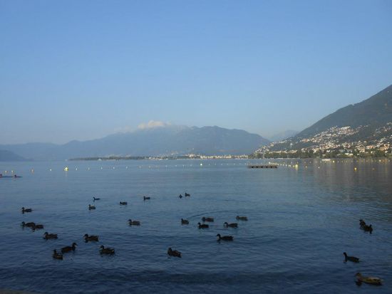 ...die zuvor bei Nacht fotografierte Stelle, mit Blick Richtung Locarno - Schweiz
Es ist schon toll, wenn man an so einem Ort wachwerden und den Tag beginnen darf ^_^