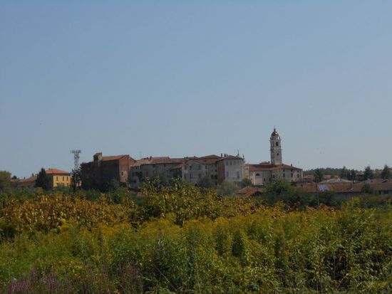Nähe Novara - Italien