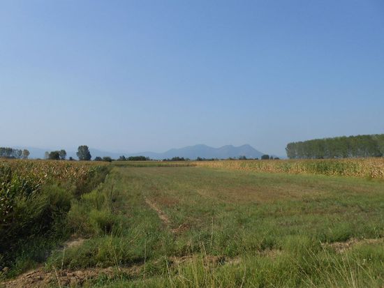 an der SR23, Richtung Pinerolo - Italien