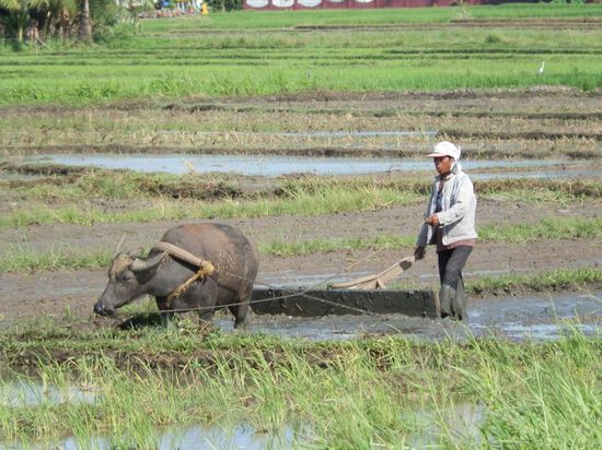 Anderen bei der Arbeit zusehen