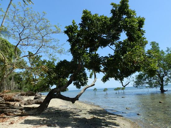 Keine Ahnung wo
Irgendwo zwischen 10 Km vor oder hinter Bayawan
Aber egal - hauptsache schön