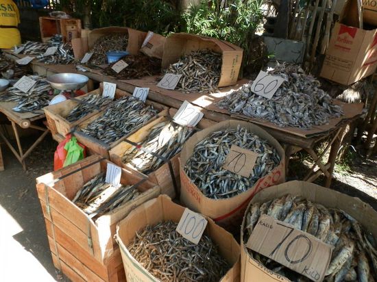 Nichts mit frisch
Furztrocken!