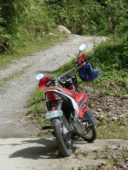 Meistens sehen die noch viel schlimmer aus