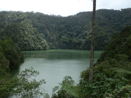 Der Kleine
Aber auch der schönere von beiden