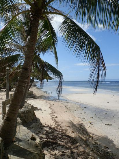 So ein Spaziergang ist doch so schön 
Da vergisst man doch schnell mal wie weit man läuft
