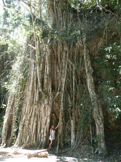 Und das sind nur die Wurzeln
Alles passte einfach nicht ins Bild