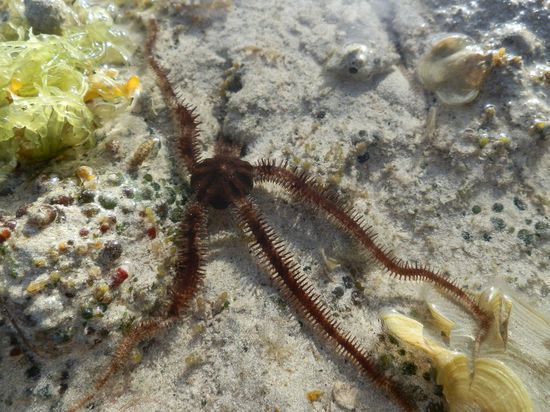 Dicht an dicht
aber man muss schon genau hinschauen