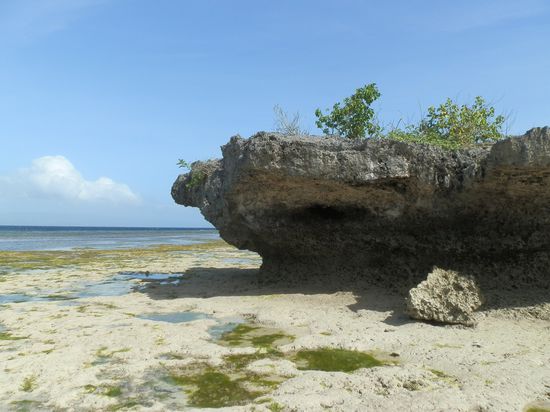 Ein schöner Spaziergang
Aber nur bei Ebbe möglich