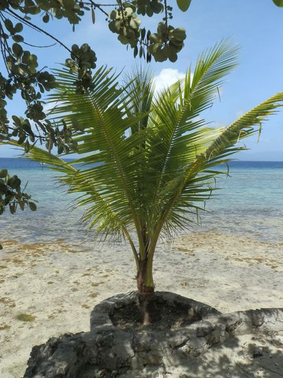 Päuschen im Schatten