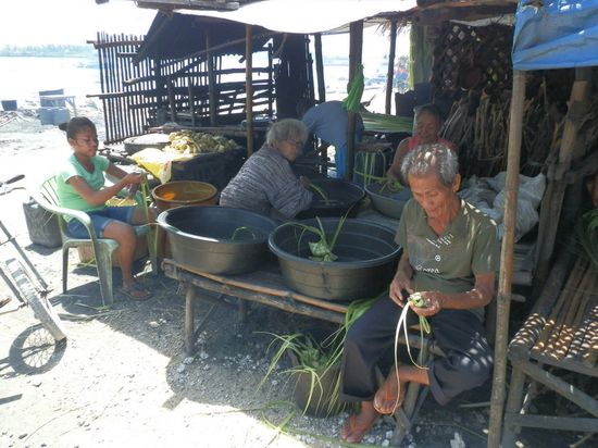 Unsere Erkundungstour
Klebreis Herstellung