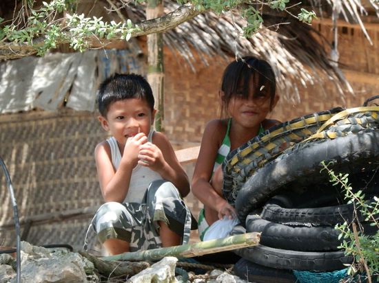 Wenn man ihnen zu nah kommt verstecken sie sich