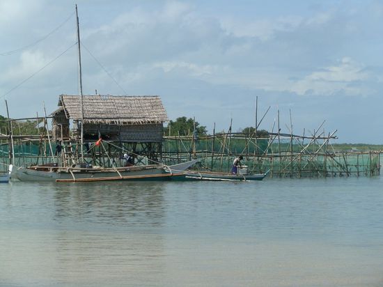 Im Südwesten 
Eine Fischfarm