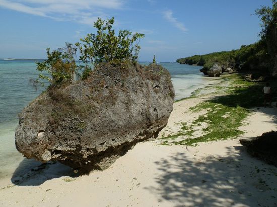 Die grünen Algen sagen schon alles 