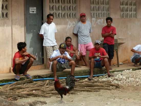 Warten ganz gespannt
Vielleicht werden sie heute ja reich