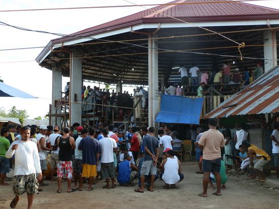 Jeden Sonntag das gleiche