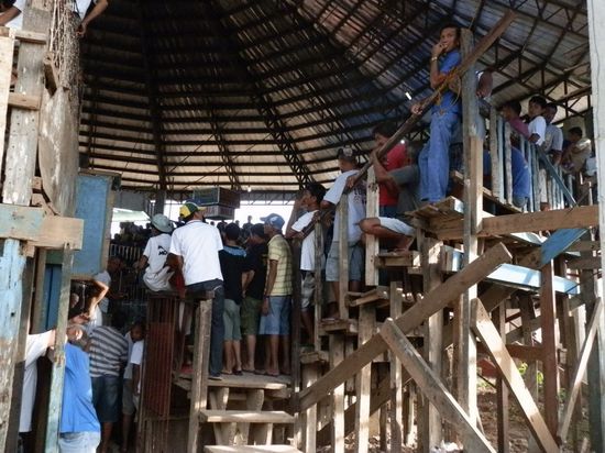 Tolle Arena 
hat uns auch noch gehalten 