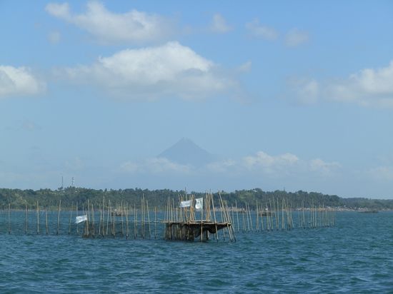 Schon von Pilar aus konnte man den Mount Mayon sehen
Entfernung - keine Ahnung - aber fast zwei Stunden mit dem Jeepney dorthin zufahren