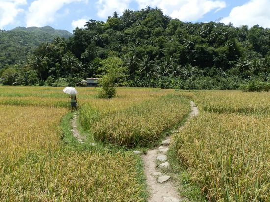 Hier kann man auch getrennte Wege gehen
Muss man aber nicht