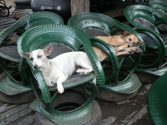 Auf dem Weg 
Möbelhersteller
aus alten LKW Reifen
Jeder mag sie 
